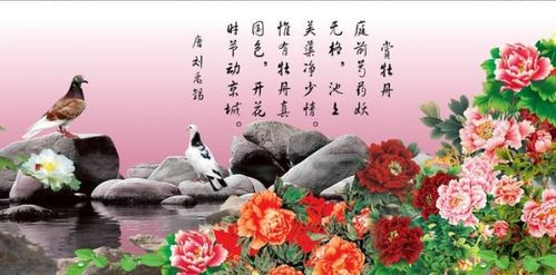 關于牡丹的詩句自創(chuàng)