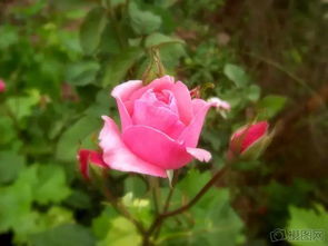 關(guān)于水堅持不懈的詩句