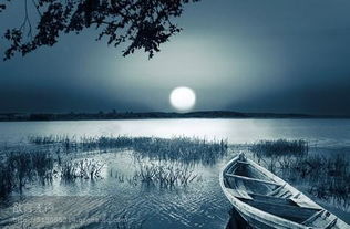 李太白寫過關(guān)于月亮的詩句