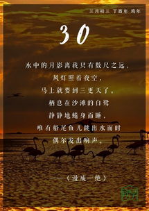 杜甫關(guān)于愛讀書的詩句
