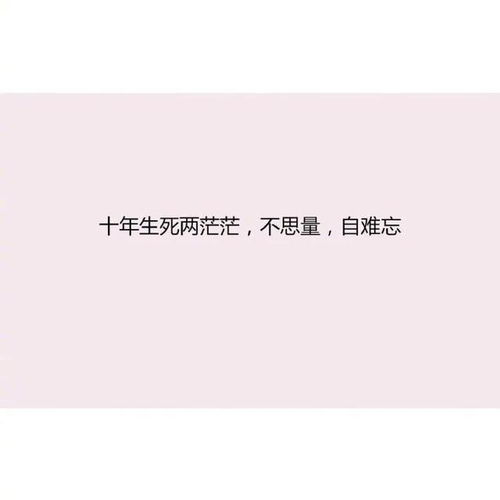 關(guān)于真悲的詩句