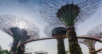 詩經里關于平字的詩句