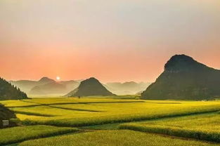 贊美大海的詩(shī)句古詩(shī)詞,描寫(xiě)大海的詩(shī)句古詩(shī)詞,雨中大海的詩(shī)句古詩(shī)詞