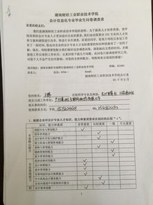 會(huì)計(jì)職業(yè)調(diào)查報(bào)告(會(huì)計(jì)職業(yè)調(diào)查報(bào)告范文)