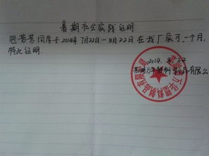 暑期船廠實踐報告(個人暑期實踐報告)