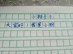 以小狗寫一篇作文600字作文開頭