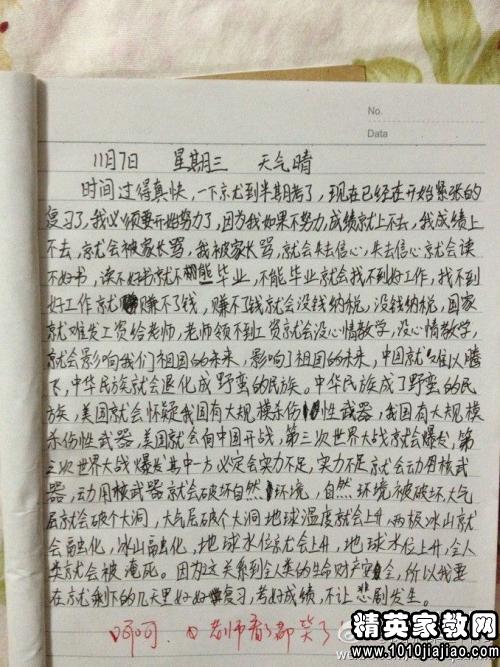 小學優(yōu)秀作文評語大全開頭