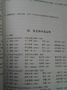 以做夢(mèng)作文開頭的想象作文,做夢(mèng)穿越的作文,描寫做夢(mèng)的作文開頭