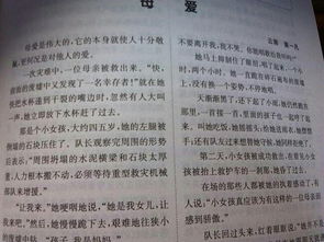 雨中一幕媽媽送傘作文開頭