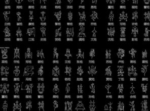 說說我的姓氏作文開頭