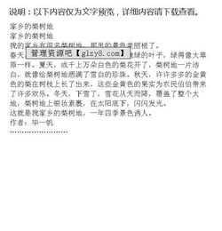 描寫梨樹作文的開頭