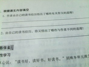 我悟出道理作文開頭