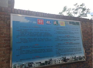 文明社會美麗鄉(xiāng)村調(diào)查報告(美麗鄉(xiāng)村調(diào)查報告)