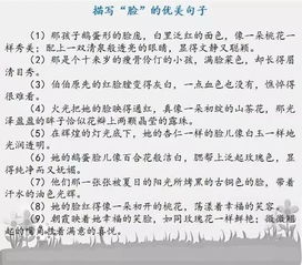 作文優(yōu)美的開頭摘抄句子
