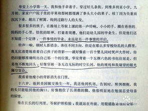 推薦目送作文開(kāi)頭