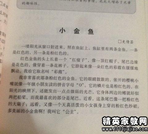 旅行中的趣事作文450字作文開頭