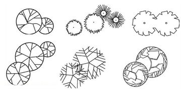 園林設(shè)計(jì)樹木的畫法(園林設(shè)計(jì)樹木的畫法)