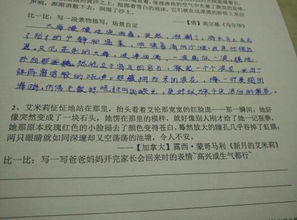 描寫海的作文開(kāi)頭