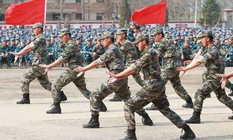 部隊士兵個人總結(jié)(部隊士官半年總結(jié))