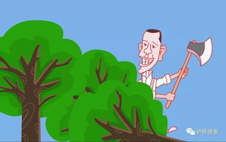 一次性筷子作文開頭