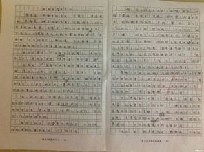 那天我與親情相遇作文600字作文開頭