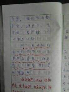 四級(jí)第六單元作文好開頭結(jié)尾