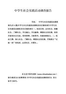 實(shí)踐總結(jié)報(bào)告()