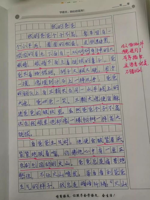 做糖葫蘆的作文開(kāi)頭