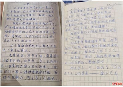 關(guān)于心愿的作文開頭,心愿作文開頭結(jié)尾,心愿作文開頭排比句