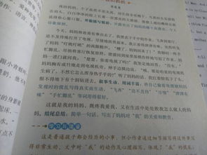 母親對(duì)我鼓勵(lì)的作文開(kāi)頭結(jié)尾