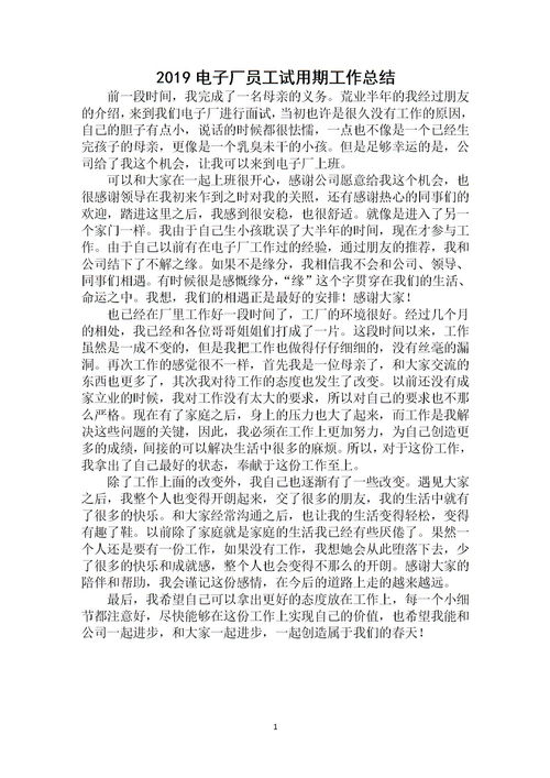 電子廠員工個(gè)人總結(jié)范文(電子廠員工個(gè)人年終工作總結(jié))