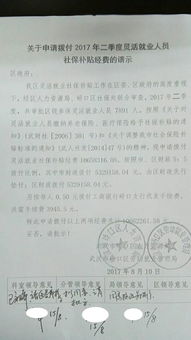 補助資金個人申請報告(項目補助資金申請報告)