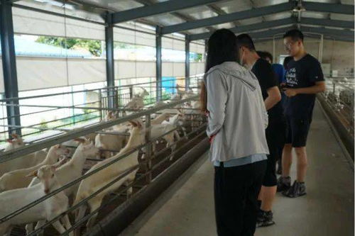 農村土地助推鄉(xiāng)村振興調研報告(苦難是成功的助推器作文)