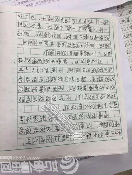 我真不應(yīng)該說謊的作文開頭