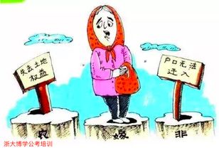 保護(hù)外嫁女土地權(quán)益問題的探析(保護(hù)外嫁女土地權(quán)益問題的探析)
