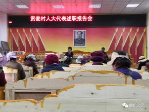 村書記縣人大代表述職報(bào)告(村書記述職報(bào)告、村書記述職報(bào)告范文、村書記述職報(bào)告精選)