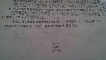 介紹熊貓作文開(kāi)頭該怎么寫(xiě)