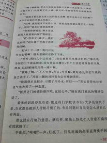 姐妹情作文開頭結(jié)尾