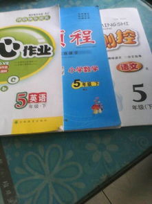 我的哥哥作文好開頭