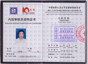 ISO 9000內(nèi)部審核技巧(ISO9000內(nèi)審員的審核技巧)