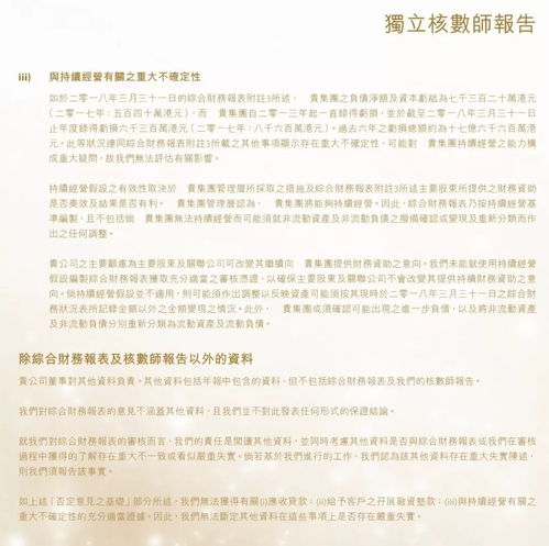 審計報告意見(審計報告意見)