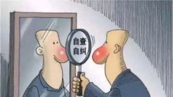 雙整治自檢自查報告(設(shè)備的自檢自查報告)