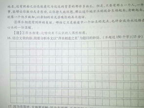 萍水相逢之美作文開頭