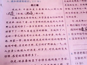 樂在其中開頭作文開頭