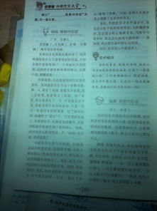 以為主題作文的開(kāi)頭怎么寫(xiě)