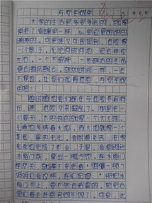 交通安全作文50字開頭