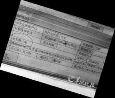 超生現(xiàn)象情況的匯報(bào)(超生)