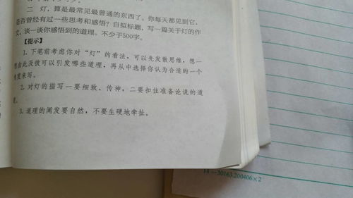 我不在驕傲五百字作文開頭