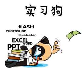 家裝設計畢業(yè)實習周記(家裝設計畢業(yè)實習周記)