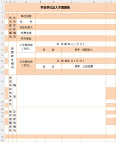 事業(yè)單位年度報告表(事業(yè)單位年度表)